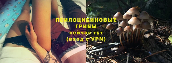соль курить ск Белокуриха
