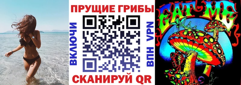 где купить наркоту  Красноперекопск  Псилоцибиновые грибы Psilocybine cubensis 